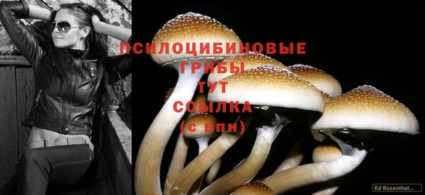 дживик Бугульма