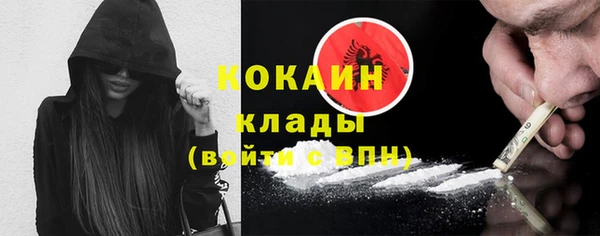 дживик Богородицк