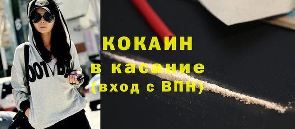 дмт Богородск