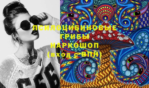 прущие грибы Верхнеуральск