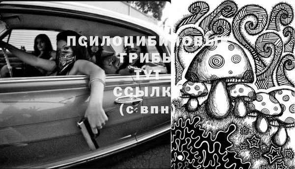 гидра Верея