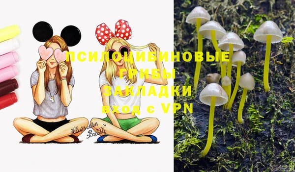 гидра Верея